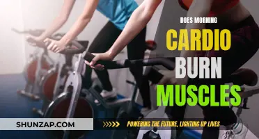 Morning Cardio: Muscle Burn or Myth?