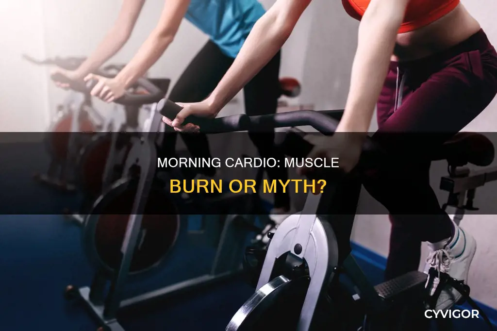 does morning cardio burn muscles