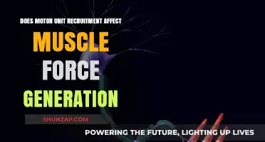 Exploring the Impact of Motor Unit Recruitment on Muscle Force Generation