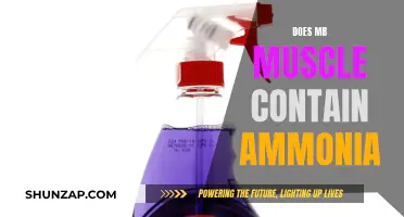 Ammonia in Mr Muscle: What You Need to Know