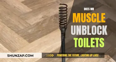 Mr Muscle: Effective Toilet Unblocker or Not?