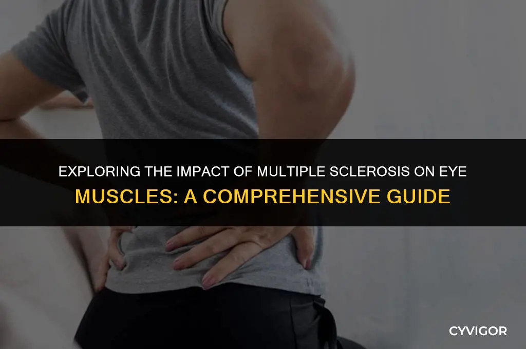 does ms affect eye muscles