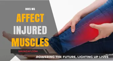 Exploring the Impact of Multiple Sclerosis on Injured Muscles