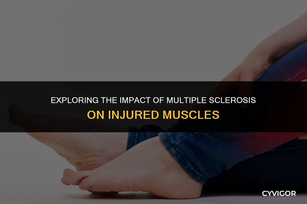 does ms affect injured muscles
