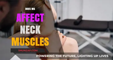 Exploring the Impact of Multiple Sclerosis on Neck Muscles: A Comprehensive Guide