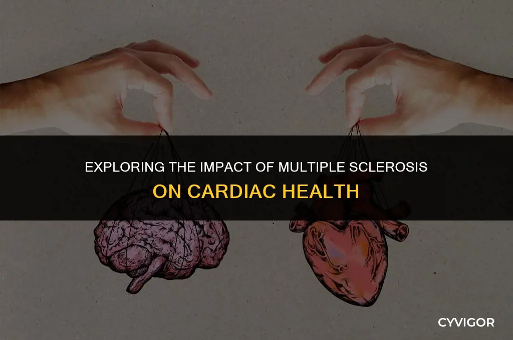 does ms affect the heart muscle