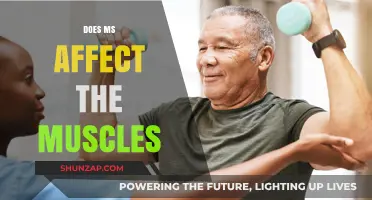 Unraveling the Impact of Multiple Sclerosis on Muscle Function