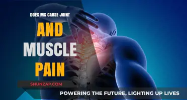 Managing MS: Joint and Muscle Pain