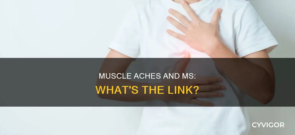 does ms cause muscle aches