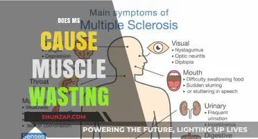 Muscle Wasting and MS: What's the Link?