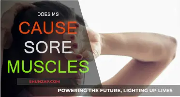 How MS Causes Sore Muscles and What to Do