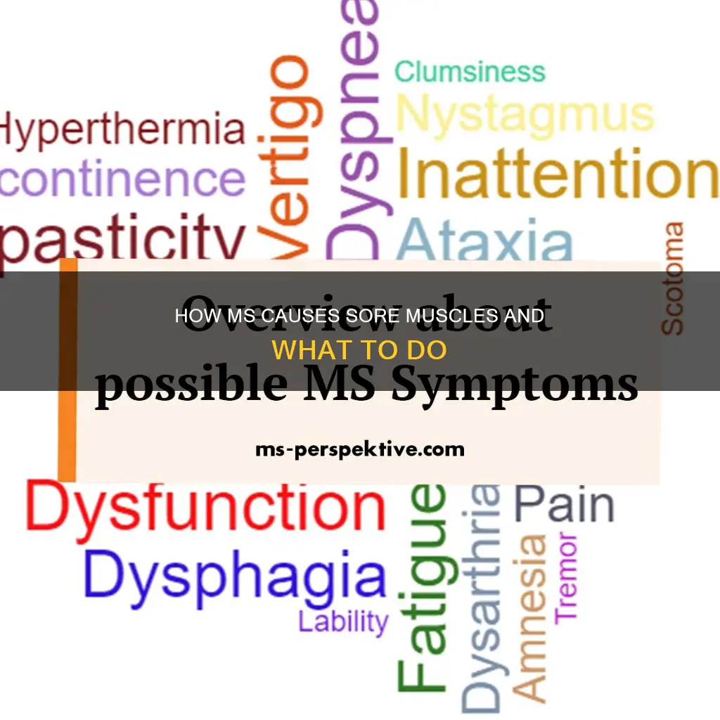 does ms cause sore muscles