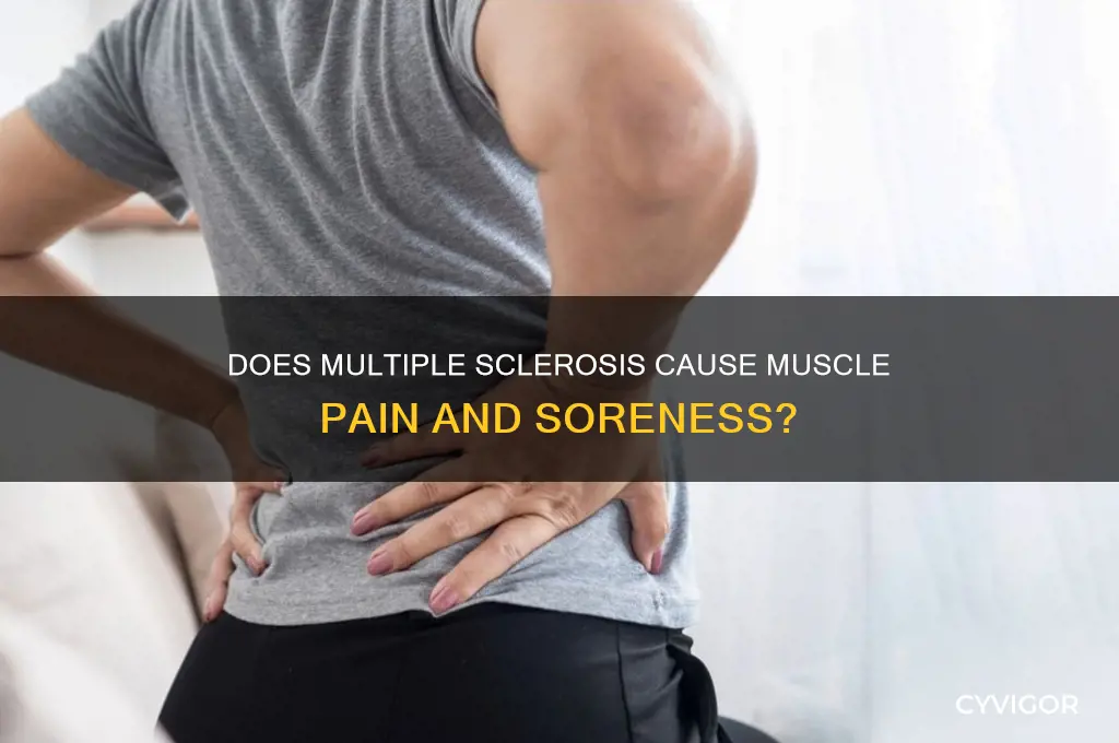 does ms give sore muscles