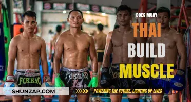 Muay Thai Training: A Path to Building Lean Muscle and Strength