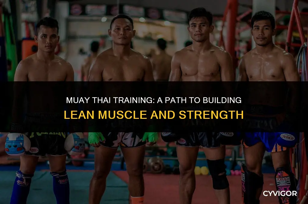does muay thai build muscle