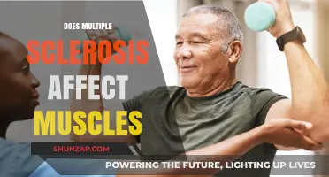 Understanding Multiple Sclerosis: Its Impact on Muscle Function
