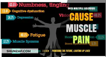 Managing Multiple Sclerosis: Understanding Muscle Pain