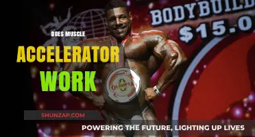 Does Muscle Accelerator Work? Unveiling the Truth Behind the Hype