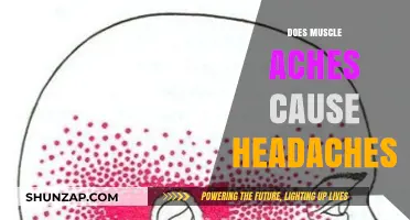 Muscle Aches and Headaches: Is There a Link?