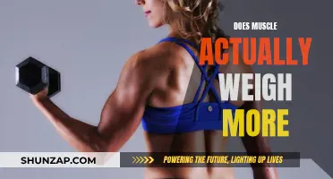 Muscle Mass: Weighing Heavier or a Myth?