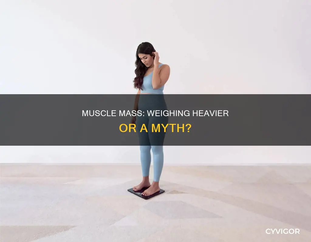 does muscle actually weigh more