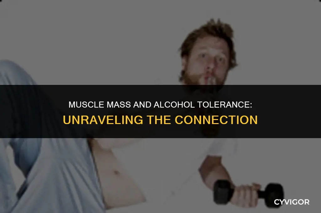 does muscle affect alcohol tolerance