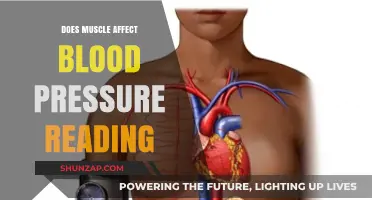 Exploring the Connection: Muscle Mass and Blood Pressure Readings