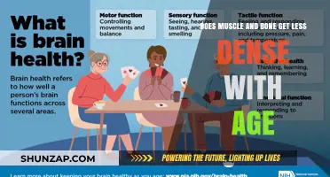 Age-Related Changes in Muscle and Bone Density: Facts and Prevention Tips