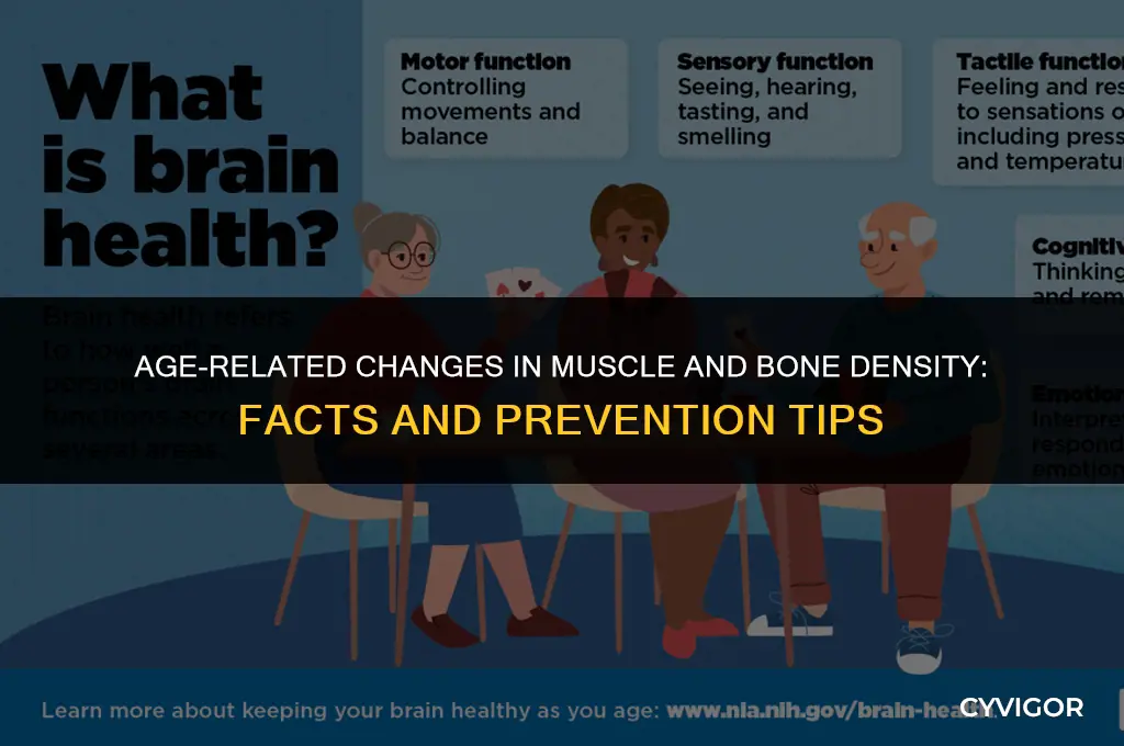 does muscle and bone get less dense with age