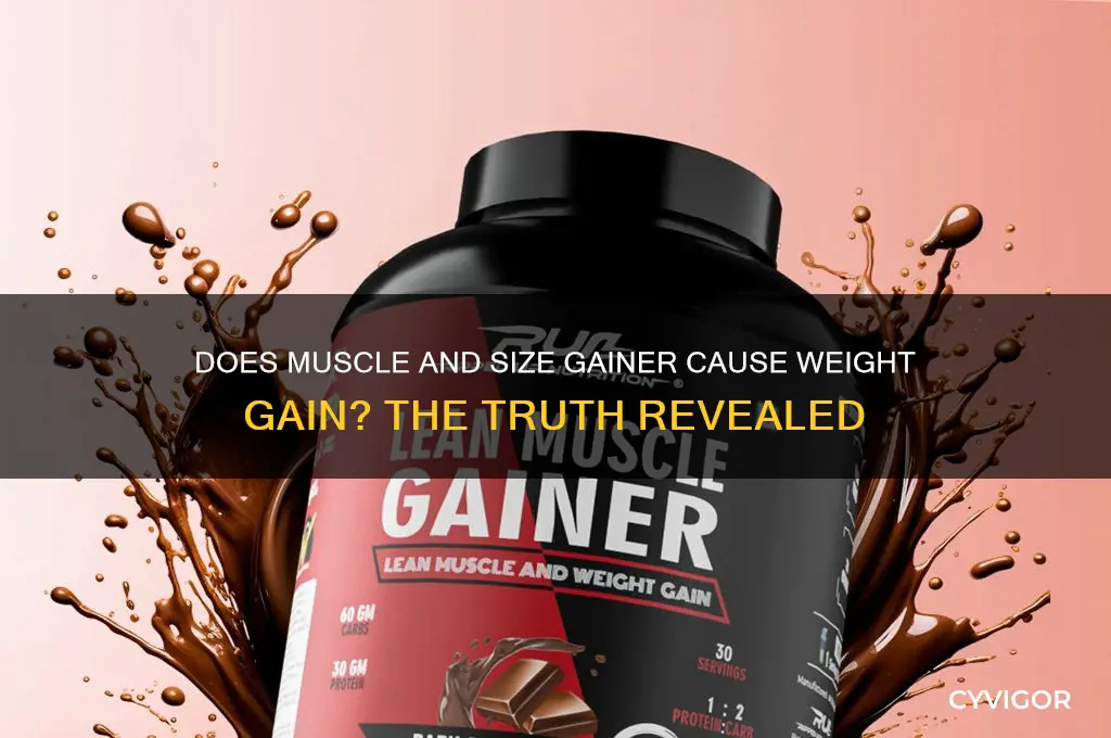 does muscle and size gainer make you fat