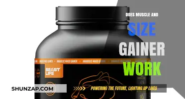Does Muscle and Size Gainer Work? Uncovering the Truth and Results