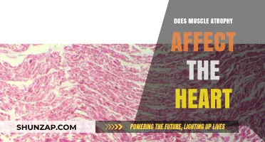 Exploring the Impact of Muscle Atrophy on Heart Health