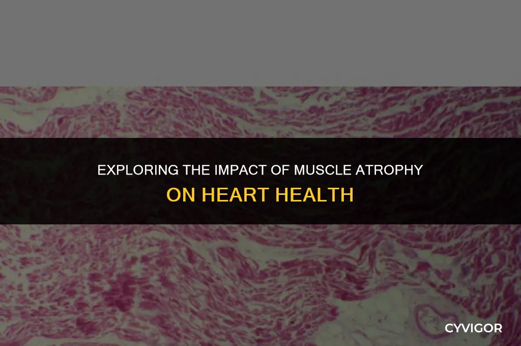 does muscle atrophy affect the heart