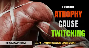 Muscle Atrophy and Twitching: What's the Connection?