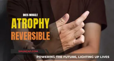Reversing Muscle Atrophy: Is It Possible?