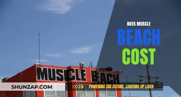 Muscle Beach Workout: How Much Does It Cost?