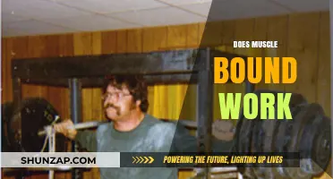 Does Muscle Bound Work? Unveiling the Truth Behind This Fitness Trend