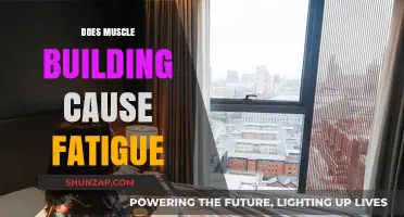 Muscle Building: Can it Cause Fatigue?