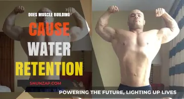 Muscle Building: Water Retention and Its Impact