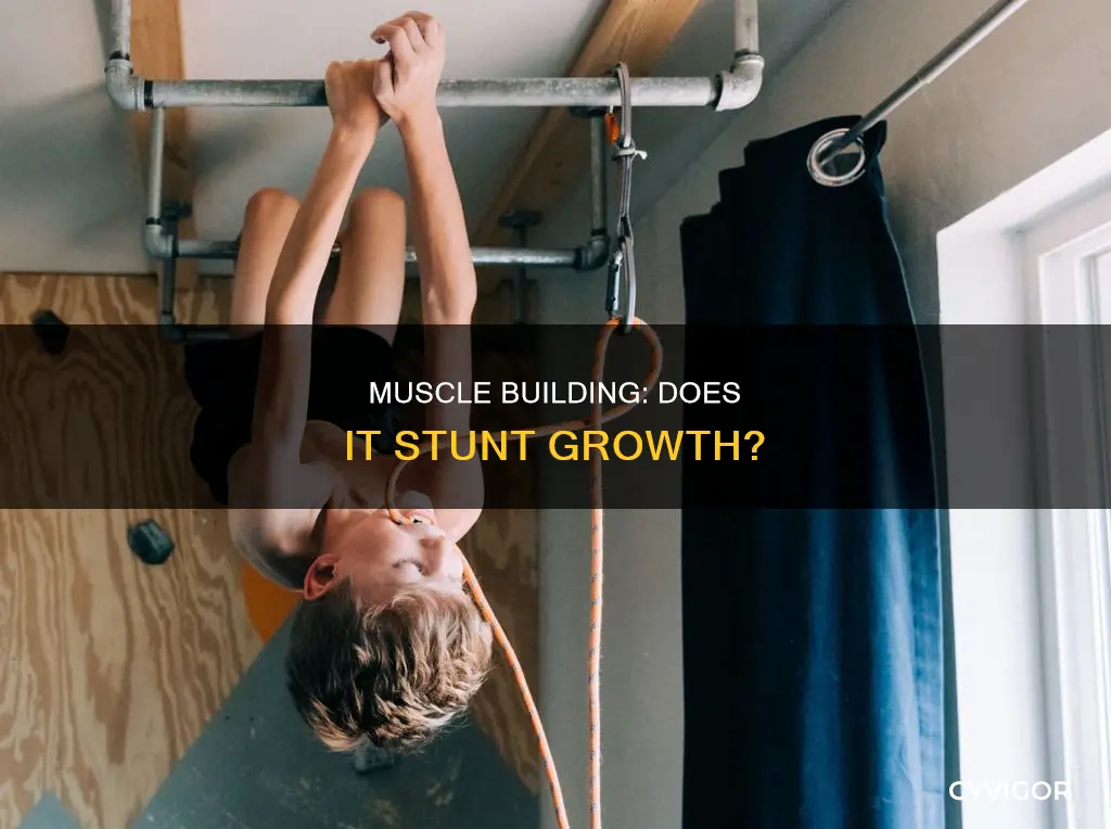 does muscle building when young cause ou to be short