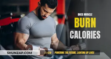 Muscle Tissue and Calorie Burn: What's the Truth?