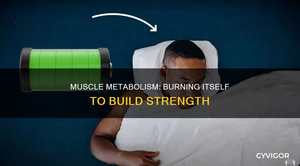 does muscle burn itself