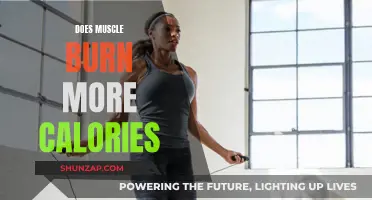 Muscle Power: Burning Calories, Transforming Bodies