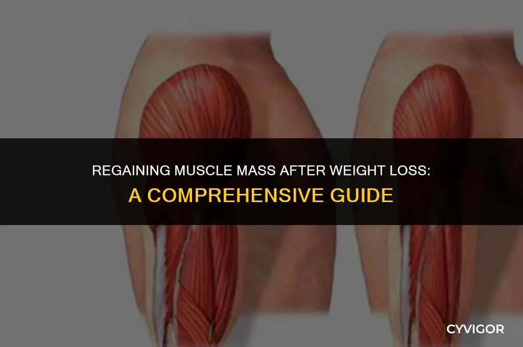 does muscle come back after weight loss