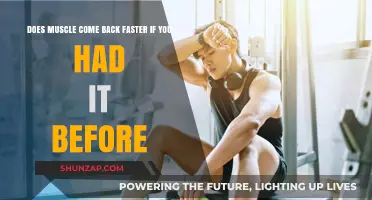 Regaining Muscle: A Faster Comeback for Former Fitness Enthusiasts?