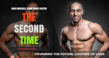 Rebuilding Strength: The Science Behind Muscle Memory and Faster Gains