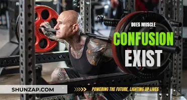 Muscle Confusion: Myth or Reality?