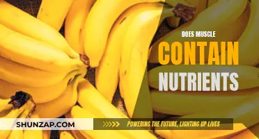 Muscle Tissue: A Storehouse of Essential Nutrients?