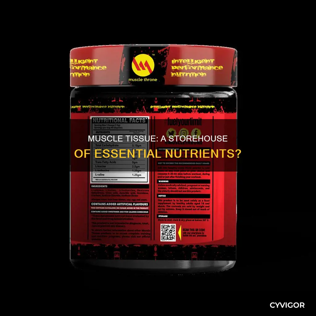 does muscle contain nutrients