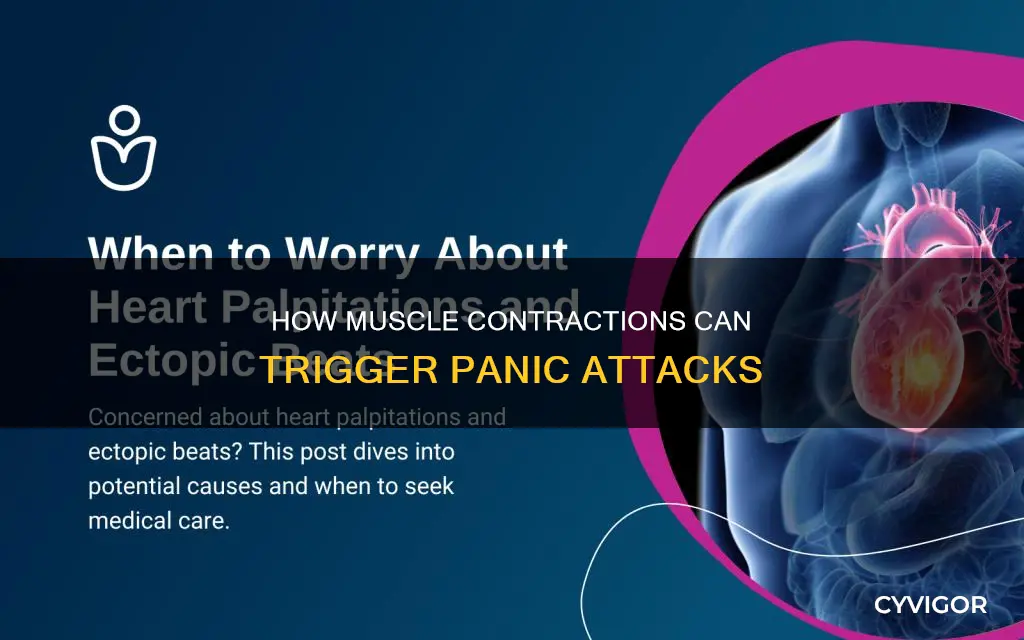 does muscle contractions cause panic attacks